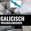 Galicisch Vocabulaireboek