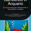 Gamberetti in Acquario: Guida Completa per l'Allevamento di Neocaridina e Caridina