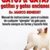 Gatos, Gatas, Gatitos Y Gatos Ancianos