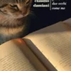 Gatto, tu hai due occhi come me