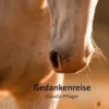 Gedankenreise