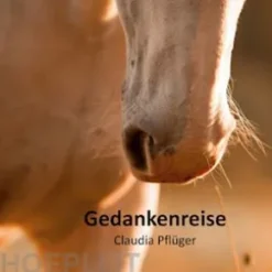 Gedankenreise