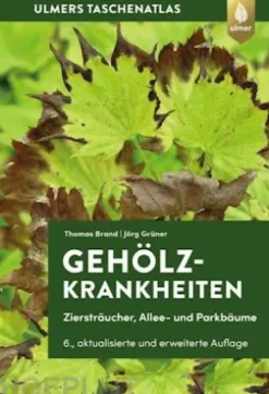 Gehölzkrankheiten