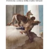 Giochi d'ombra