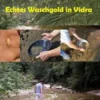 Goldwaschen in Osona, Vidra Katalunien