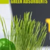 Green Adsorbents