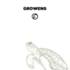 Growens