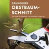Grundkurs Obstbaumschnitt
