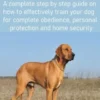 Guard Dog Training