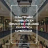 Guía-Temario formación en servicio de vigilancia en centros comerciales