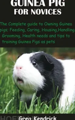 Guinea Pig for Novices