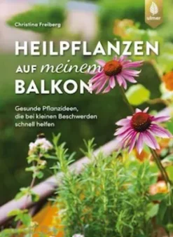 Heilpflanzen auf meinem Balkon