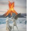 Heimaey Feuer und Eis