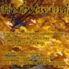 Herbstwind
