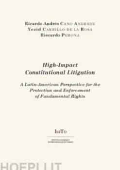 High-Impact Constitutional Litigation