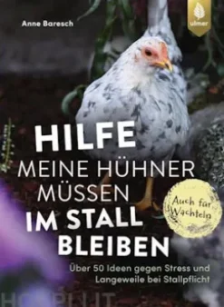 Hilfe, meine Hühner müssen im Stall bleiben