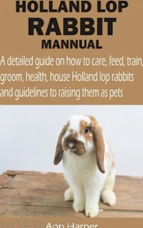 HOLLAND LOP RABBIT MANNUAL
