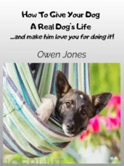 How To Give Your Dog A Real Dog's Life