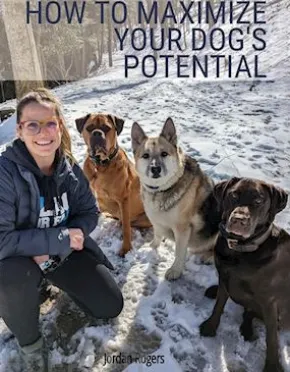 How to Maximize Your Dog's Potential