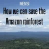 How we can save the Amazon rainforest
