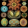 H.P. Lovecraft #10