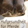 Hufgesundheit für Pferde