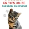 Huiskatten Fokken en Tips om ze Gelukkig te Houden