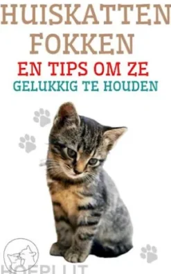 Huiskatten Fokken en Tips om ze Gelukkig te Houden