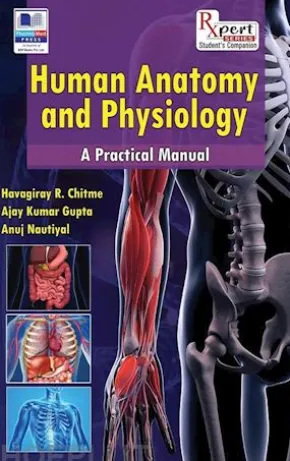 Human Anatomy and Physiology