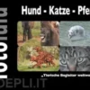 Hund - Katze - Pferd
