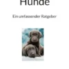 Hunde