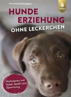 Hundeerziehung ohne Leckerchen