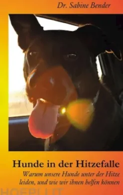 Hunde in der Hitzefalle