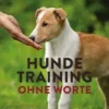Hundetraining ohne Worte