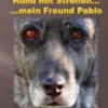 Hund mit Streifen ...