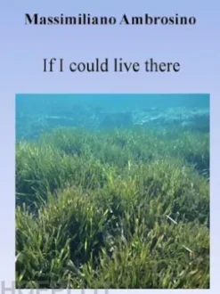 I wish I could live over there