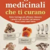 I funghi medicinali che ti curano