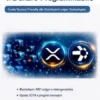 Il Denaro Programmabile