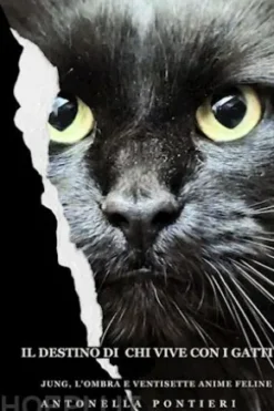 Il destino di chi vive con i gatti