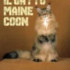 Il gatto Maine Coon