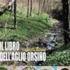Il libro dell'aglio orsino