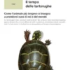 Il tempo delle tartarughe