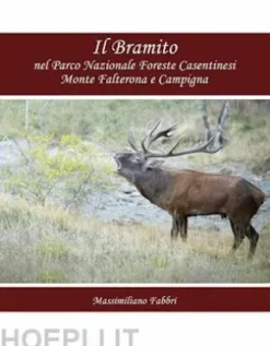 Il Bramito nel Parco Nazionale Foreste Casentinesi Monte Falterona e Campigna