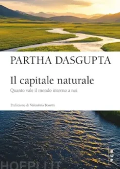 Il capitale naturale