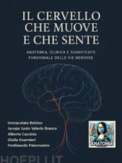 Il Cervello che muove e che sente