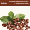 Il futuro del caffè