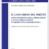 Il lato grigio del diritto - e-Book