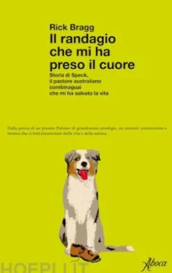 Il randagio che mi ha preso il cuore