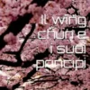 Il wing chun e i suoi principi