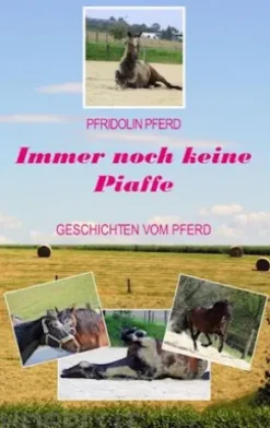 Immer noch keine Piaffe
